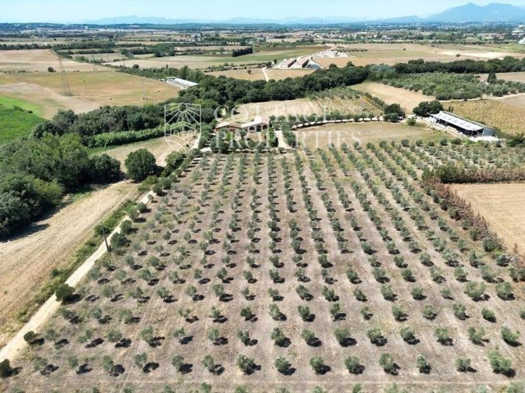 Maison de luxe à vendre à Siurana, 980 000 €, Photo 4