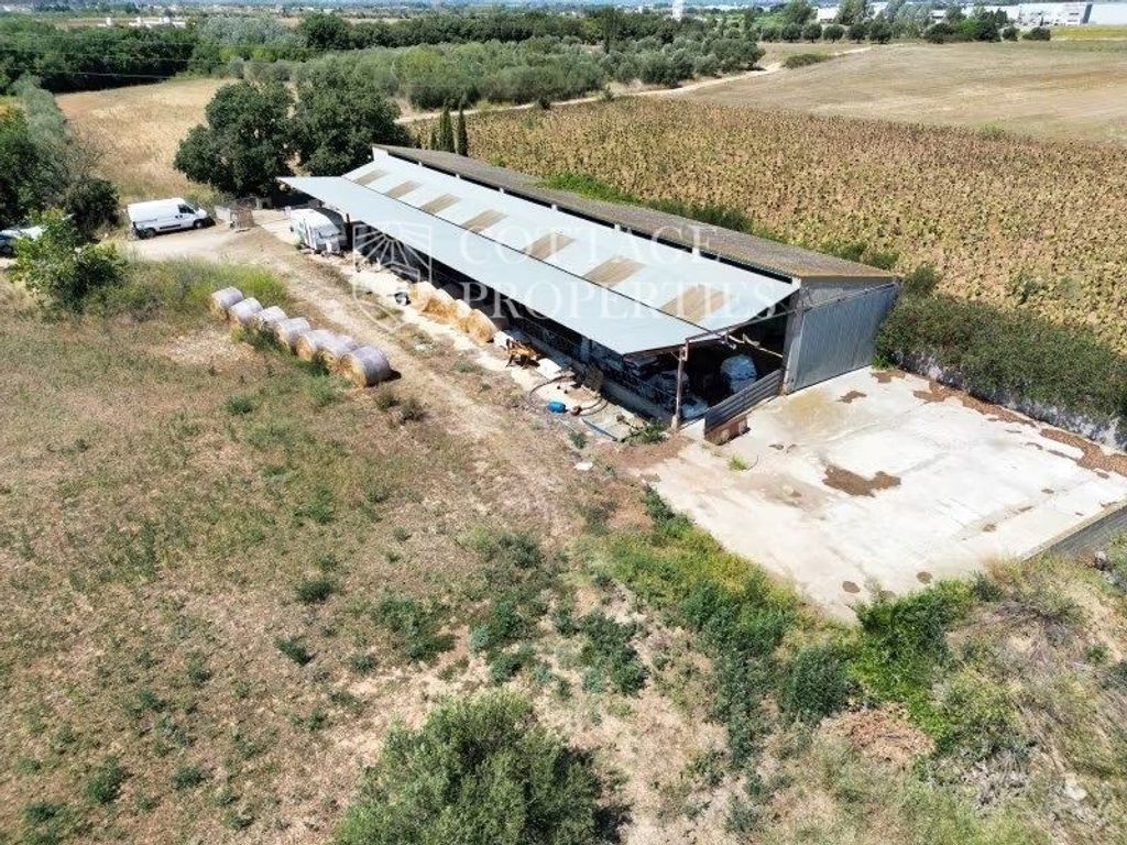 Maison de luxe à vendre à Siurana, 980 000 €, Photo 5