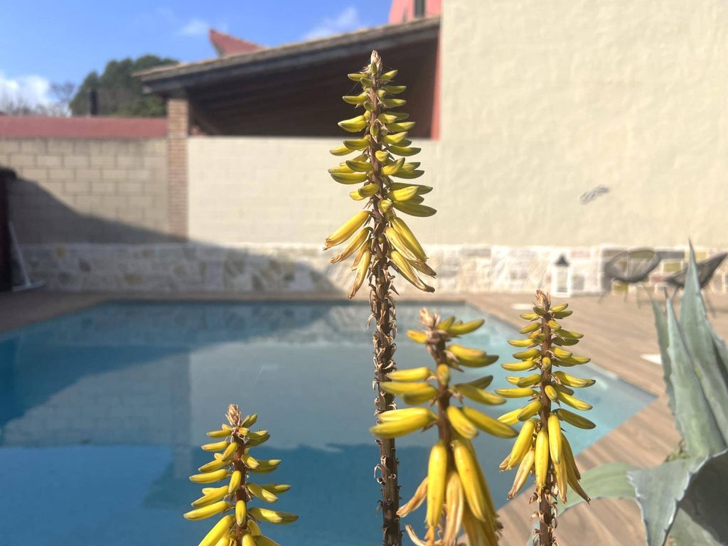 Maison de luxe à vendre à L Armentera, 565 000 €, Photo 4