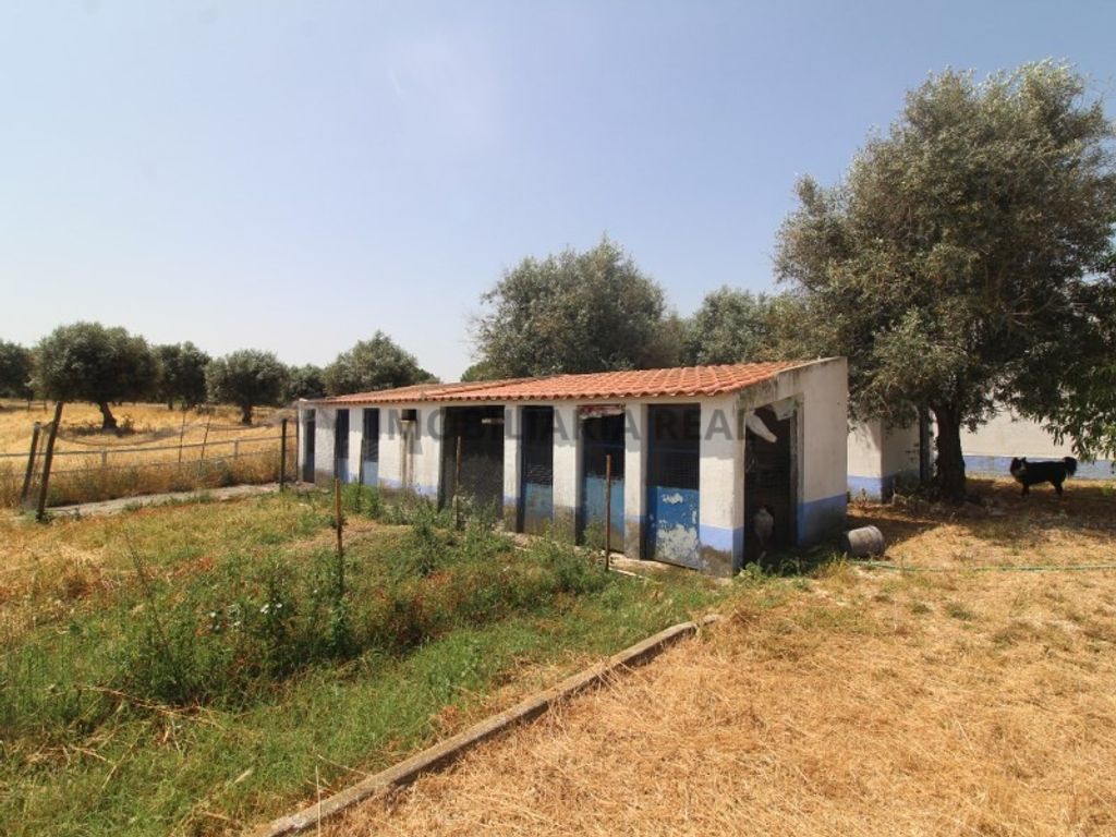 Maison de luxe à vendre à Mora, 750 000 €, Photo 4