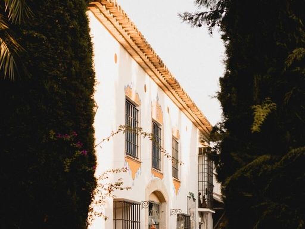 Maison de luxe à vendre à L Olleria, 3 500 000 €, Photo 5