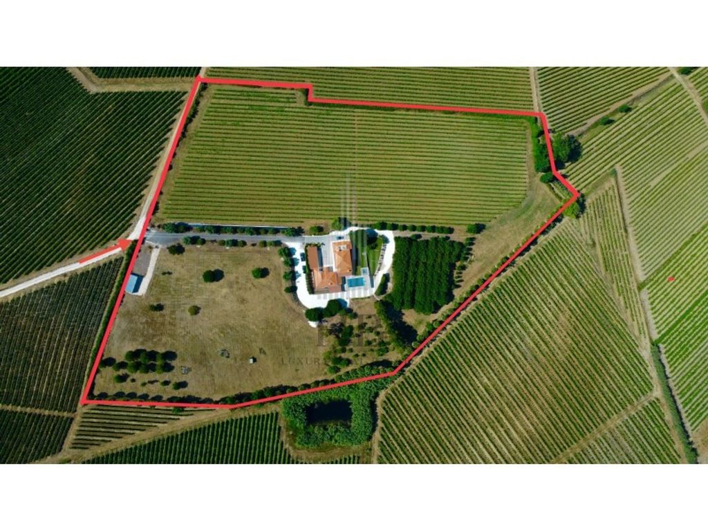 Luxury House for sale in Torres Vedras, 1 435 500 €, Photo 2