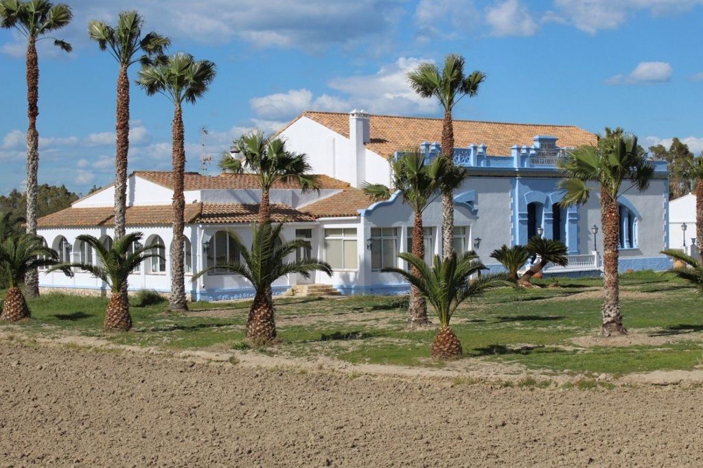 Luxury House for sale in Deltebre, 2 500 000 €, Photo 3