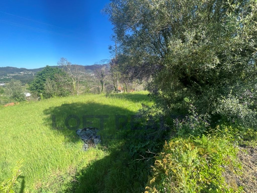 Maison de luxe à vendre à Ponte de Lima, 450 000 €, Photo 7