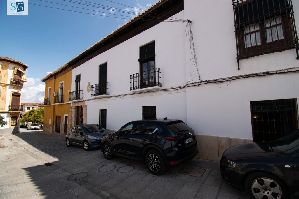 Maison de luxe à vendre à Guadix, 550 000 €, Photo 3