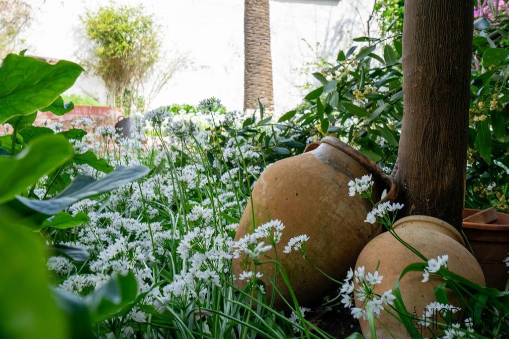 Maison de luxe à vendre à Écija, 750 000 €, Photo 7