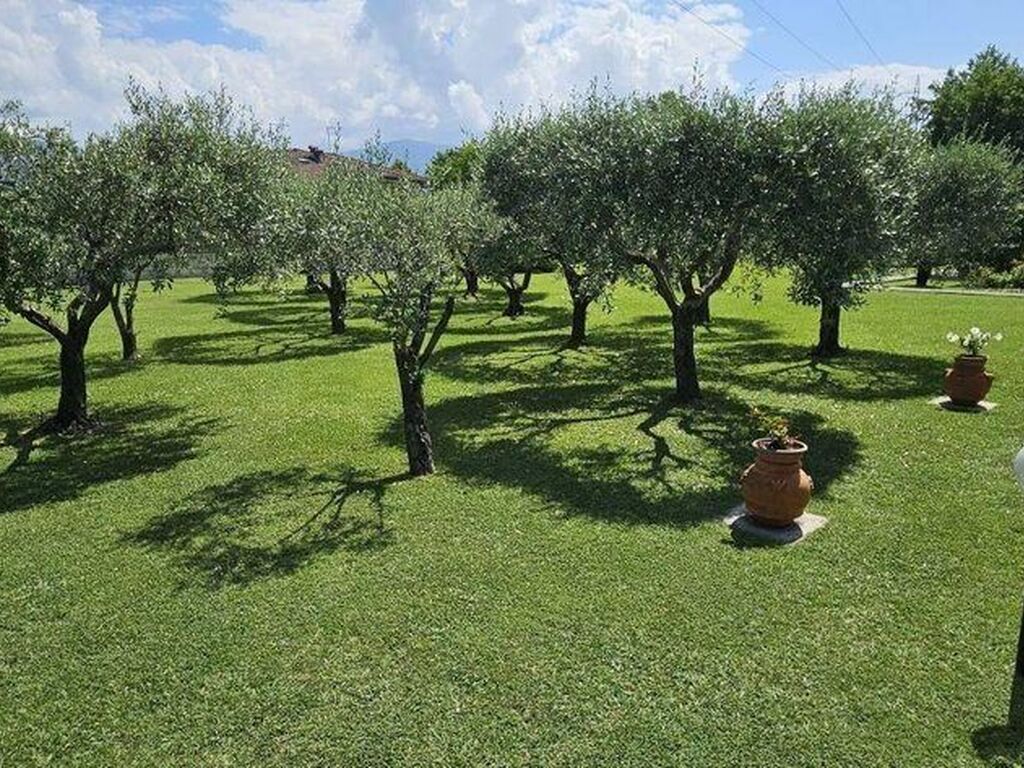 Luxury House for sale in Massa, 790 000 €, Photo 6