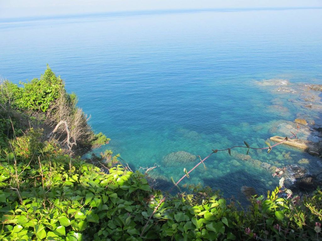Luxury House for sale in Isola Del Giglio, 1 000 000 €, Photo 4
