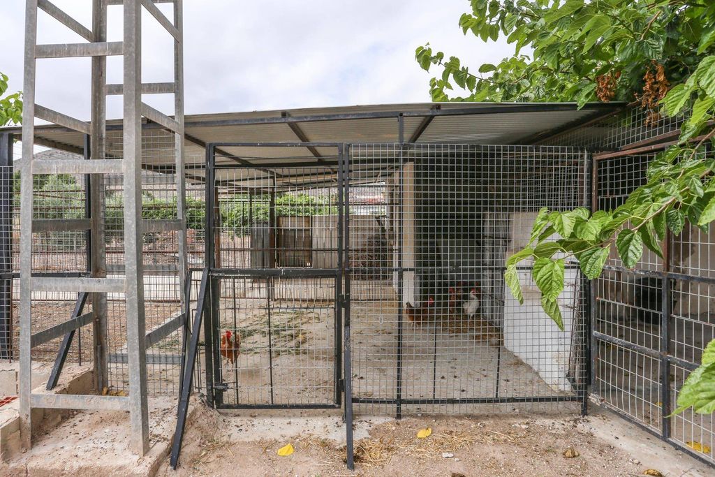 Maison de luxe à vendre à Elda, 449 000 €, Photo 7