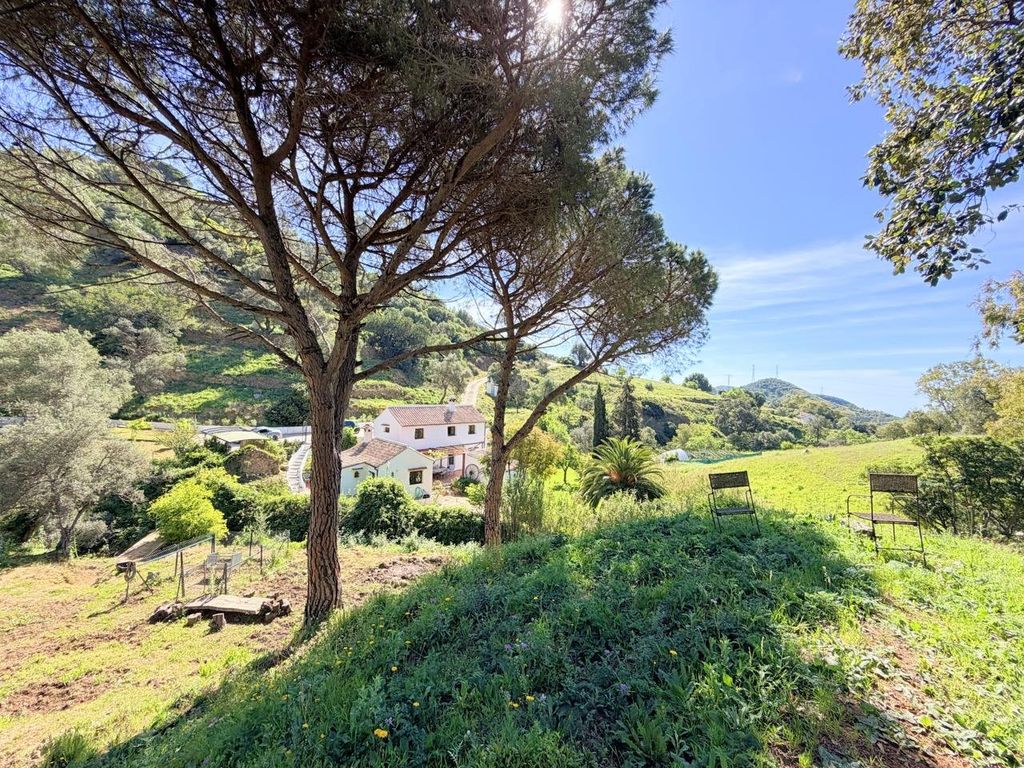 Maison de luxe à vendre à Casares, 775 000 €, Photo 2