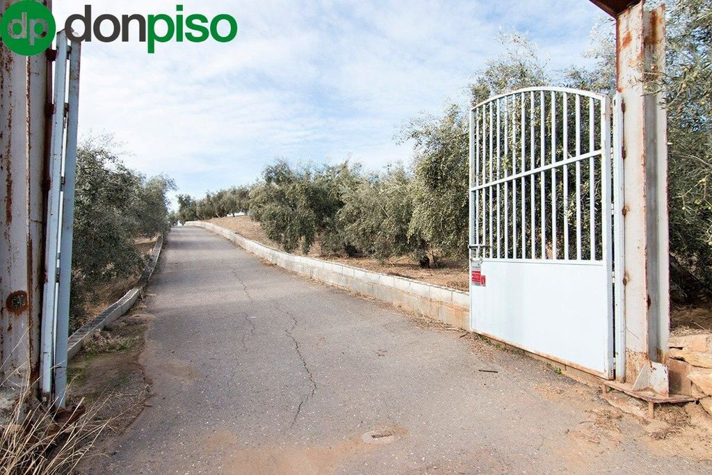 Luxury House for sale in Loja, 2 400 000 €, Photo 3