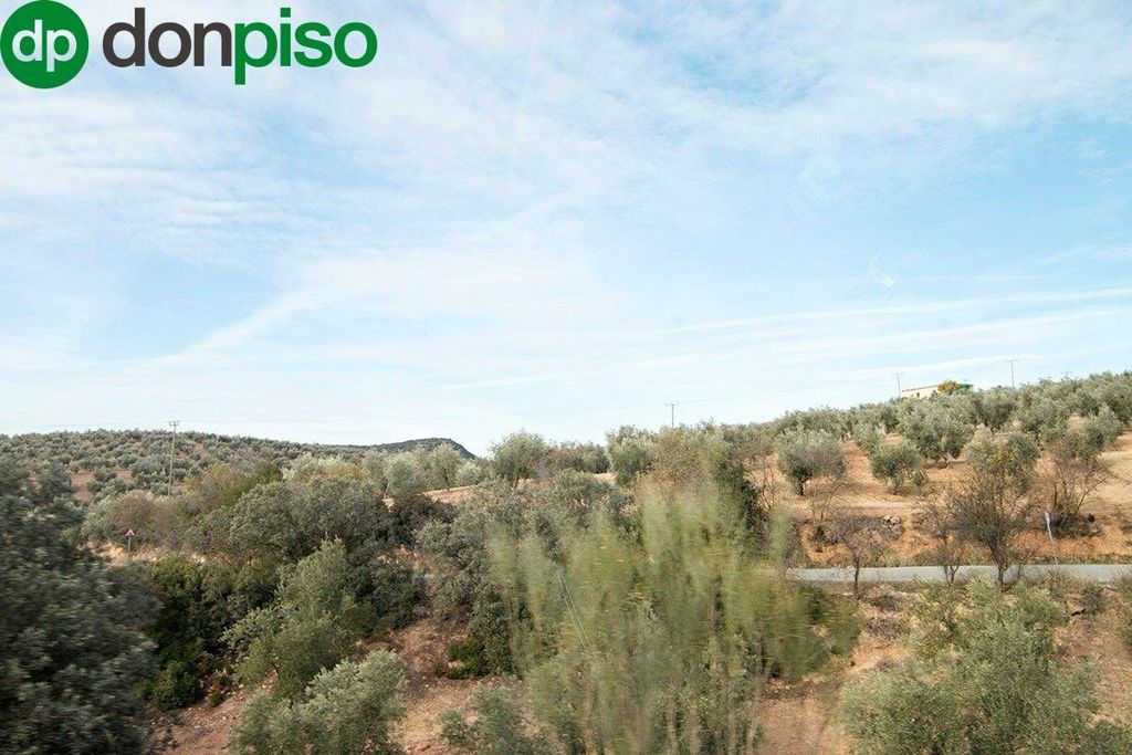 Luxury House for sale in Loja, 2 400 000 €, Photo 7