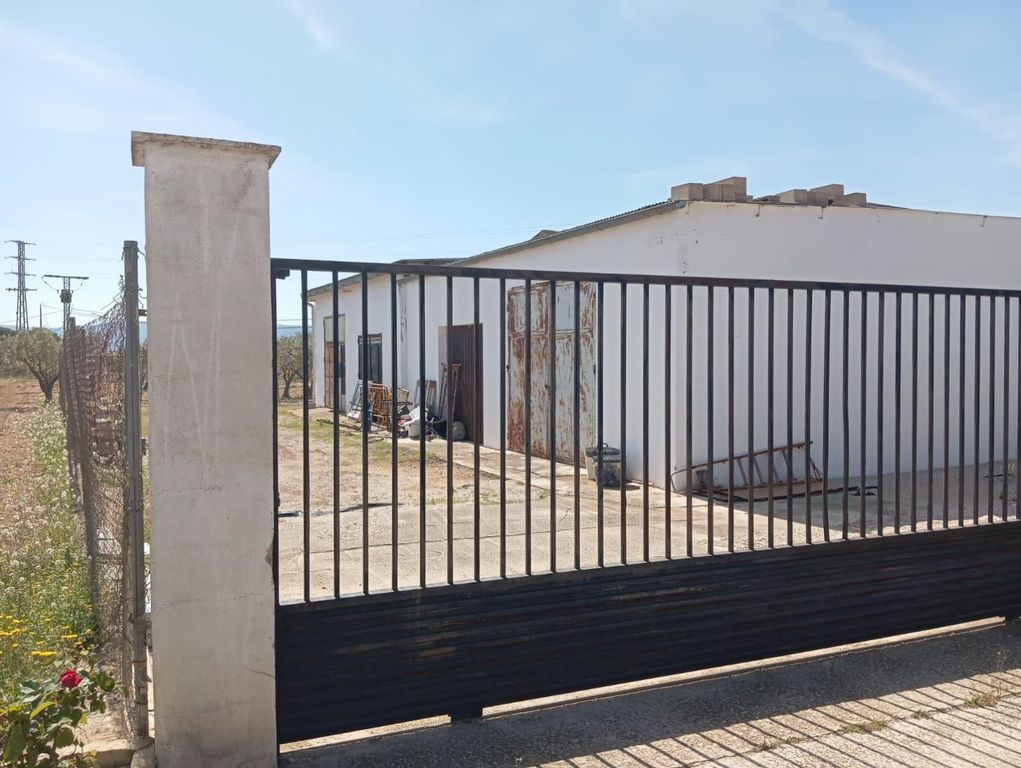 Maison de luxe à vendre à Yecla, 445 000 €, Photo 3
