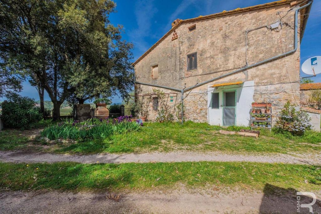 Maison de luxe à vendre à Scansano, 480 000 €, Photo 6