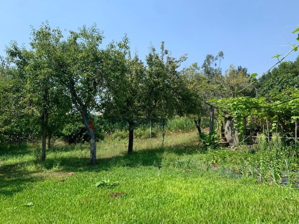 Maison de luxe à vendre à Barcelos, 430 000 €, Photo 7