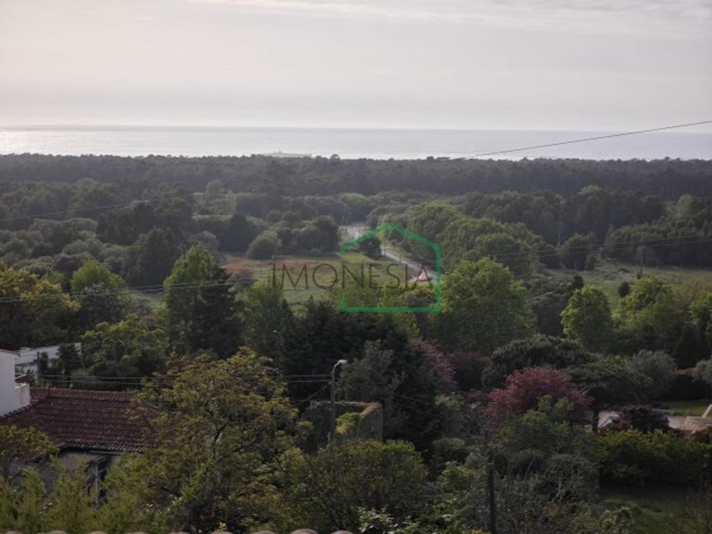 Luxury House for sale in Moledo, 450 000 €, Photo 5