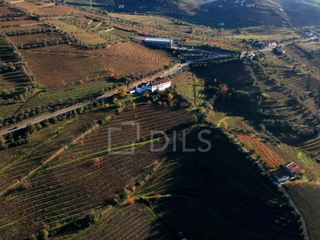 Maison de luxe à vendre à Lamego, 1 840 000 €, Photo 3