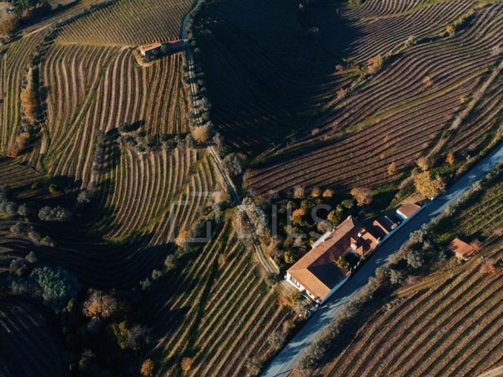 Maison de luxe à vendre à Lamego, 1 840 000 €, Photo 4