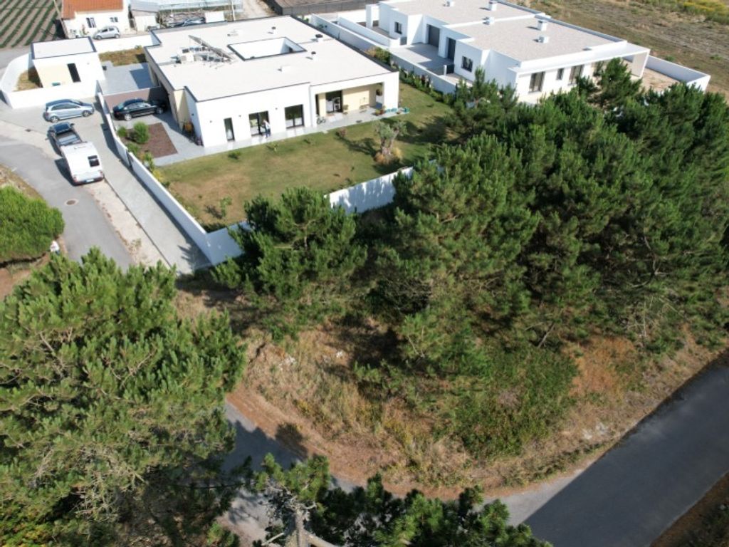 Maison de luxe à vendre à Torres Vedras, 615 000 €, Photo 5