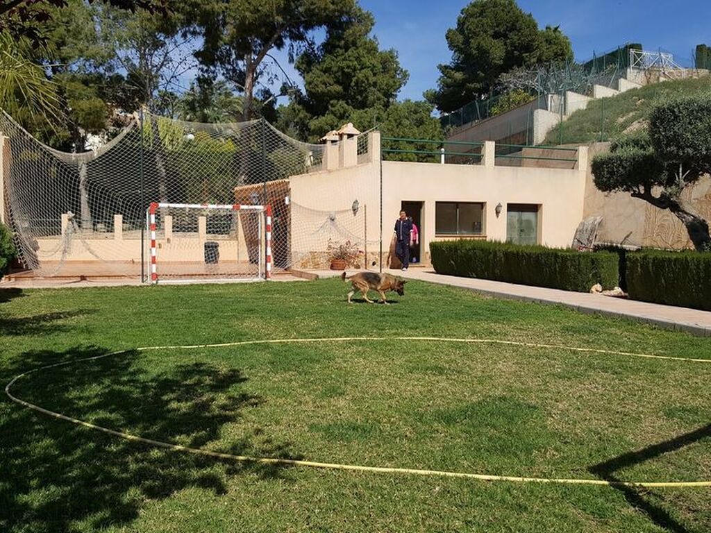 Maison de luxe à vendre à Elche, 600 000 €, Photo 4