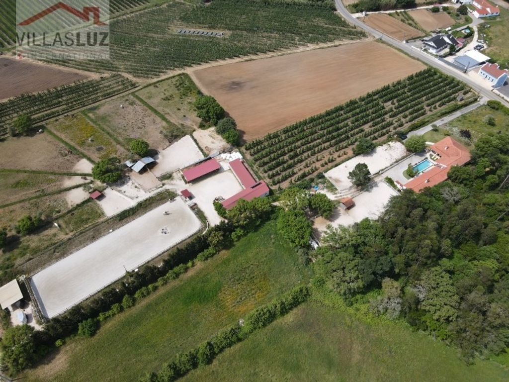 Maison de luxe à vendre à Alcobaça, 875 000 €, Photo 3