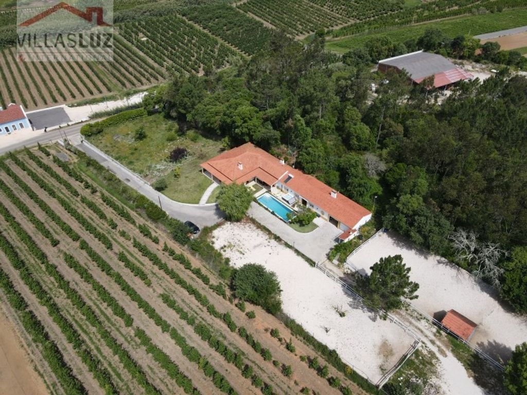 Maison de luxe à vendre à Alcobaça, 875 000 €, Photo 4
