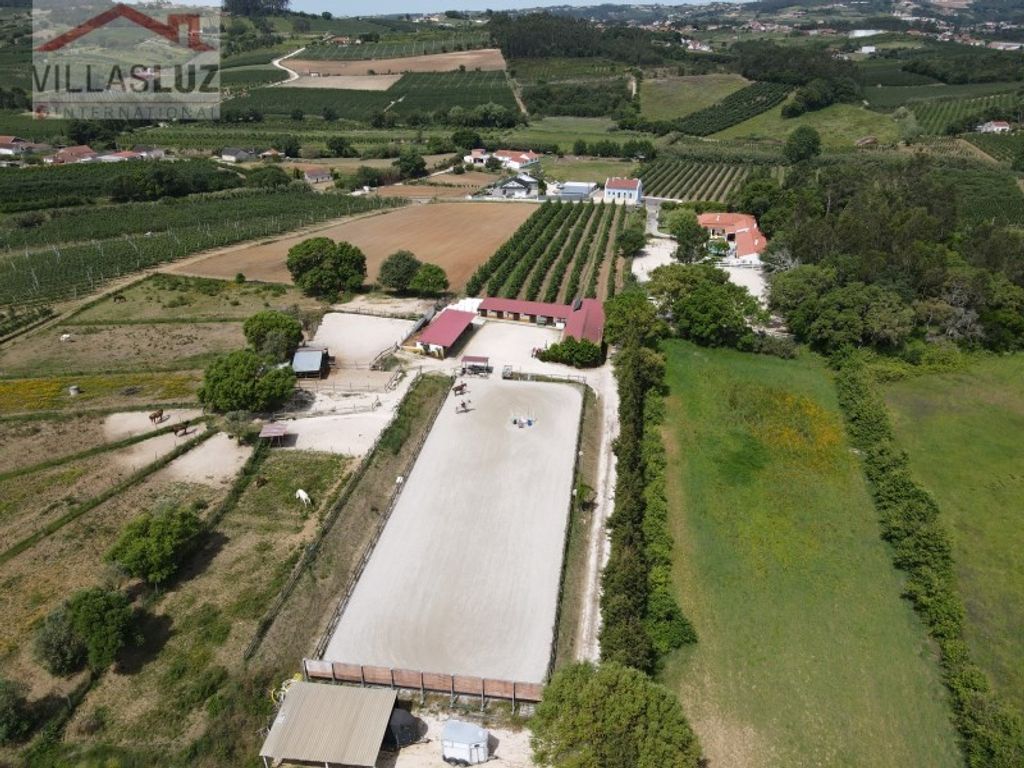 Maison de luxe à vendre à Alcobaça, 875 000 €, Photo 5