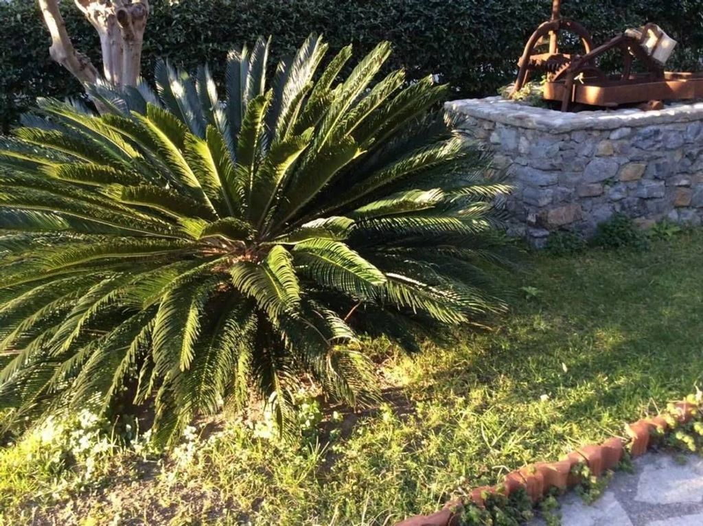 Maison de luxe à vendre à Ventimiglia, 600 000 €, Photo 1