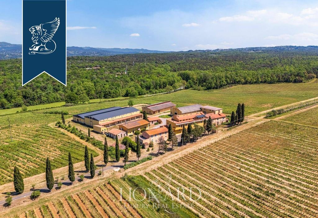 Maison de luxe à vendre à Montescudaio, 15 000 000 €, Photo 6