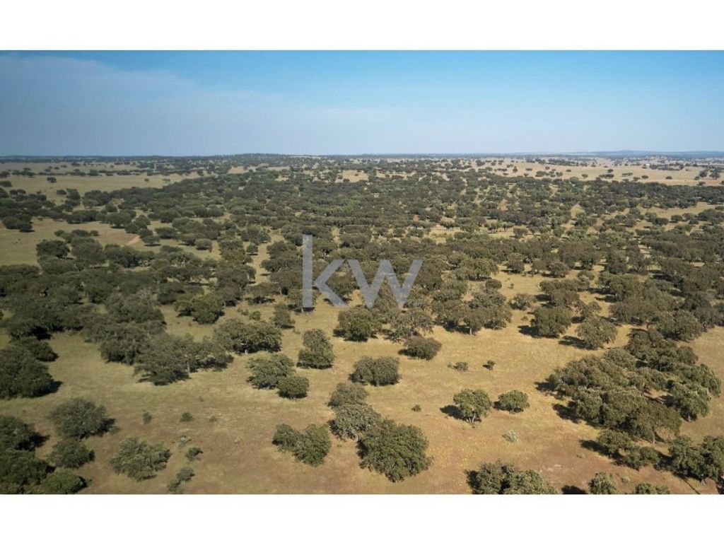 Maison de luxe à vendre à Estremoz, 9 087 000 €, Photo 1
