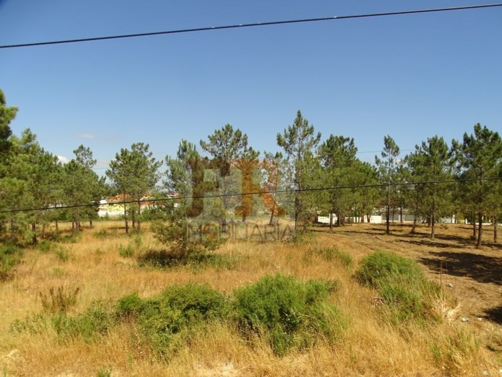 Maison de luxe à vendre à Seixal, 570 000 €, Photo 5