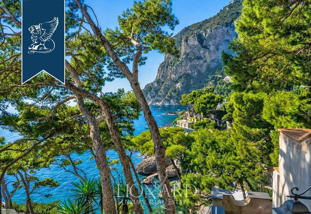 Maison de luxe à vendre à Capri, 1 900 009 €, Photo 4