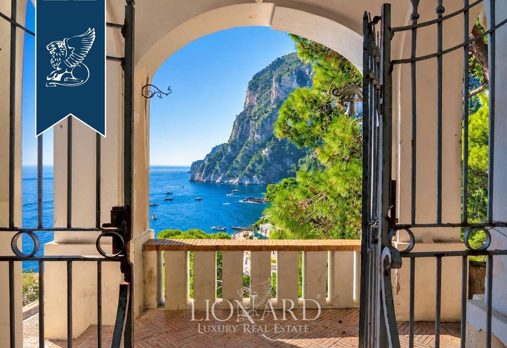Maison de luxe à vendre à Capri, 1 900 009 €, Photo 5