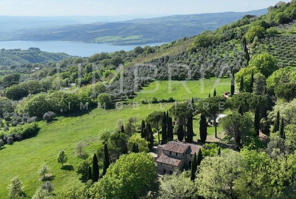 Maison de luxe à vendre à Baschi, 940 000 €, Photo 2