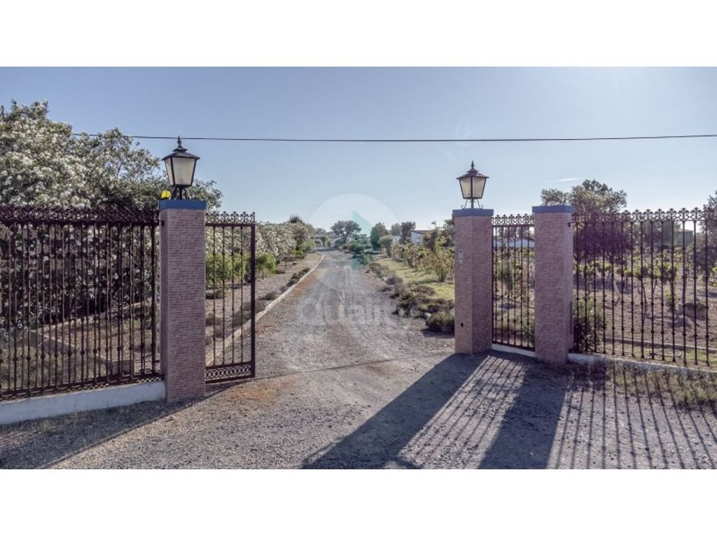 Maison de luxe à vendre à Ferreira Do Alentejo, 850 000 €, Photo 2