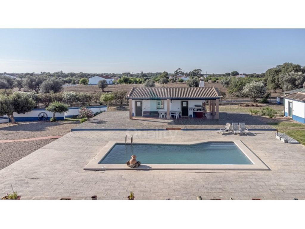 Maison de luxe à vendre à Ferreira Do Alentejo, 850 000 €, Photo 3