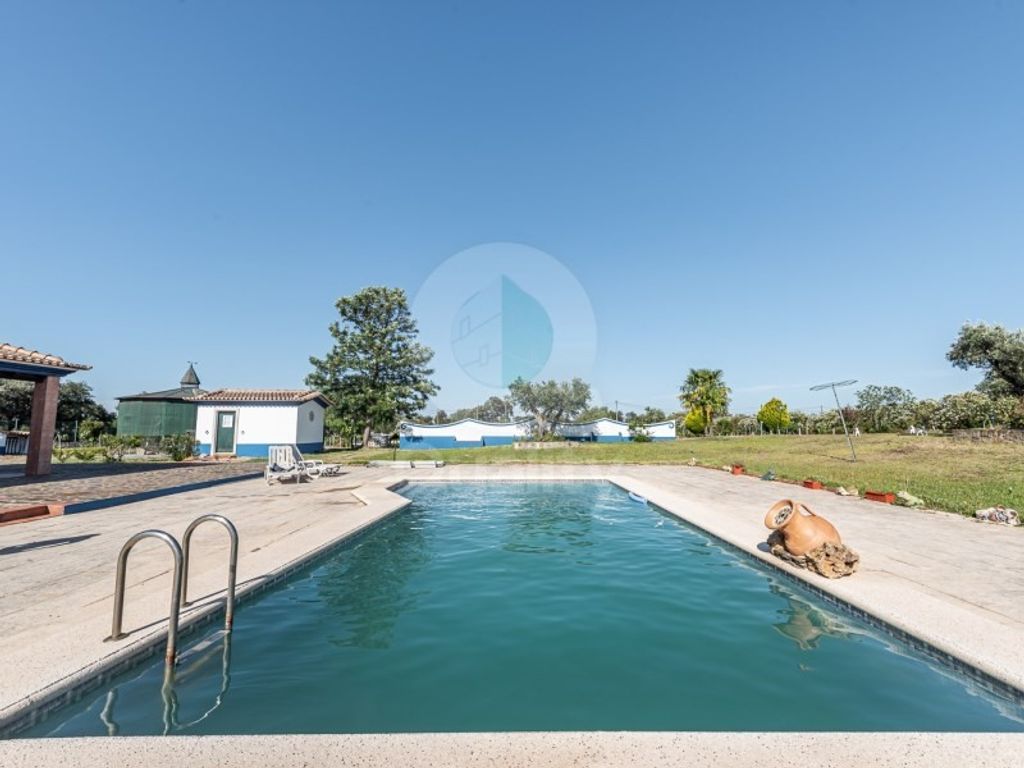 Maison de luxe à vendre à Ferreira Do Alentejo, 850 000 €, Photo 4