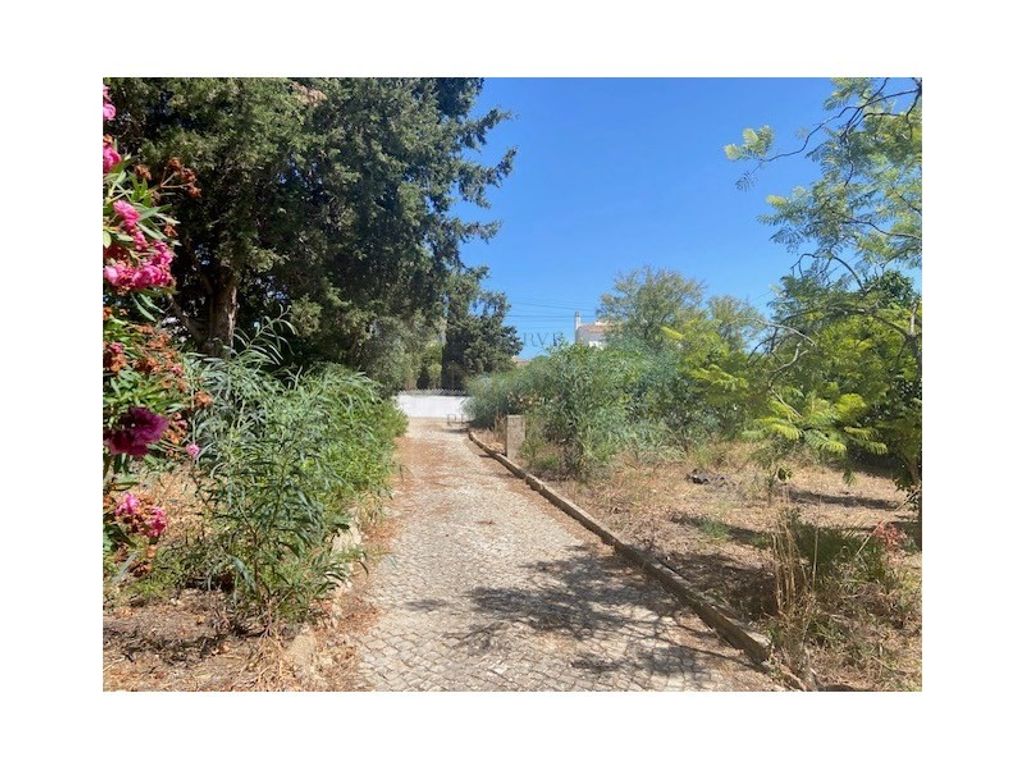 Maison de luxe à vendre à Lagos, 1 175 000 €, Photo 3