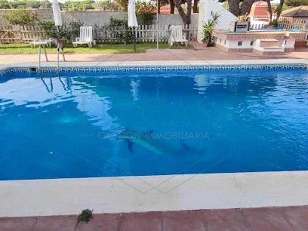 Luxury House for sale in Chiclana de La Frontera, 750 000 €, Photo 5
