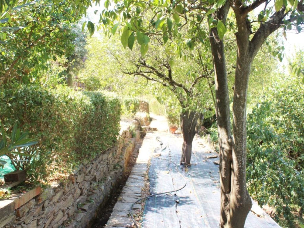 Luxury House for sale in Borba, 420 000 €, Photo 6