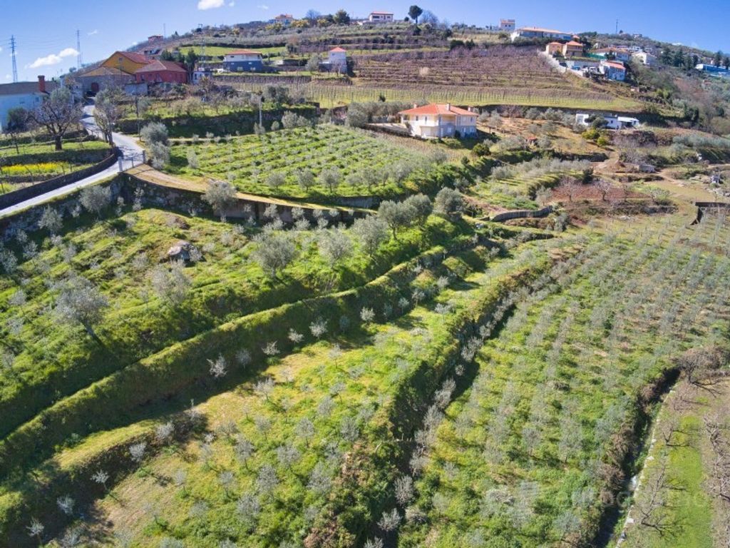 Maison de luxe à vendre à Lamego, 595 000 €, Photo 2