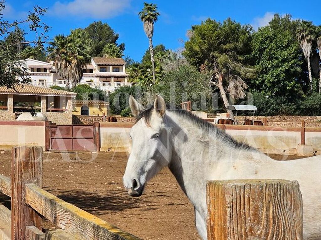 Maison de luxe à vendre à Sant Rafel, 35 000 000 €, Photo 3