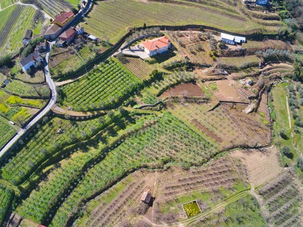 Maison de luxe à vendre à Lamego, 595 000 €, Photo 3