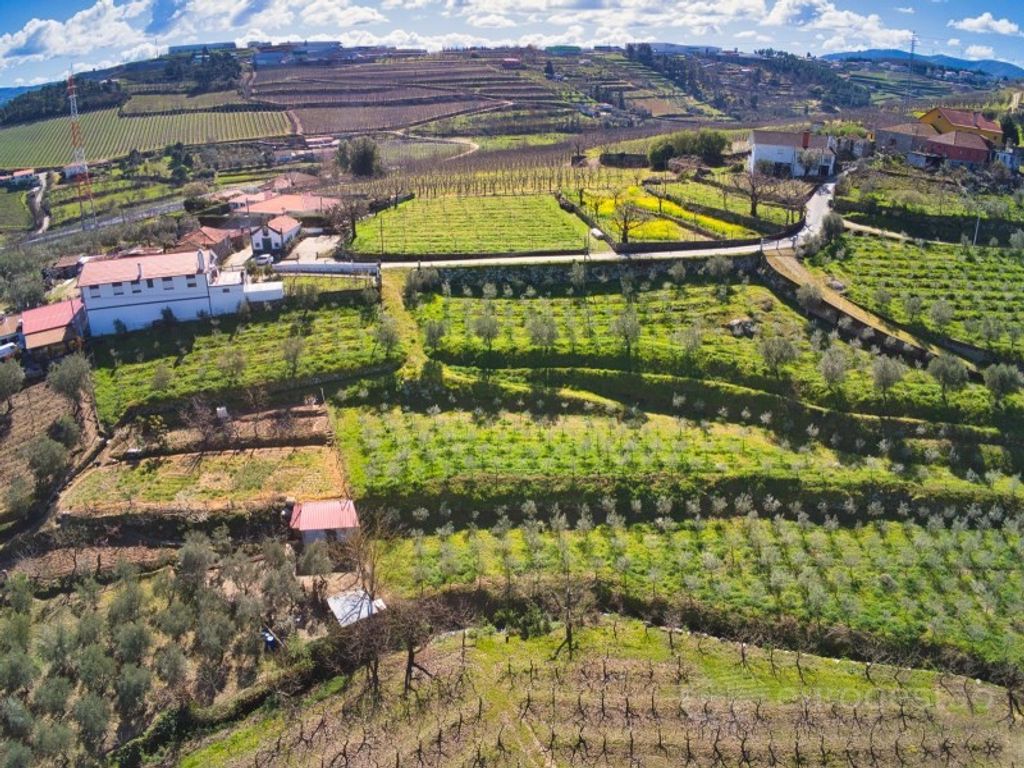 Maison de luxe à vendre à Lamego, 595 000 €, Photo 4