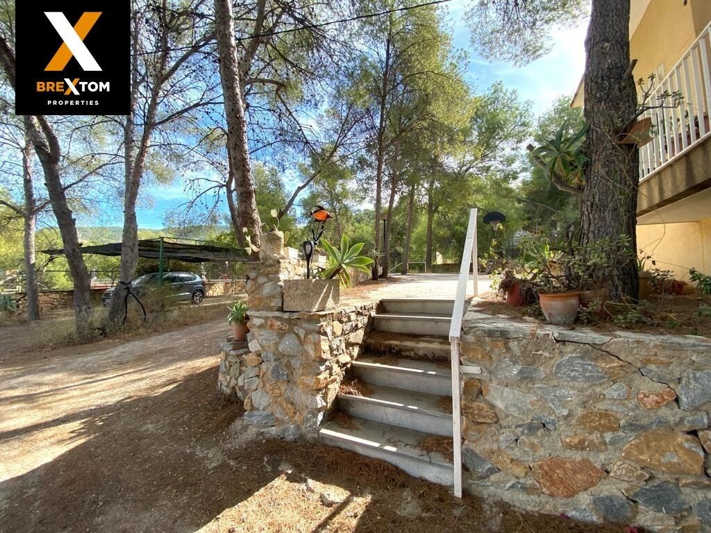 Maison de luxe à vendre à Murcia, 1 180 000 €, Photo 5