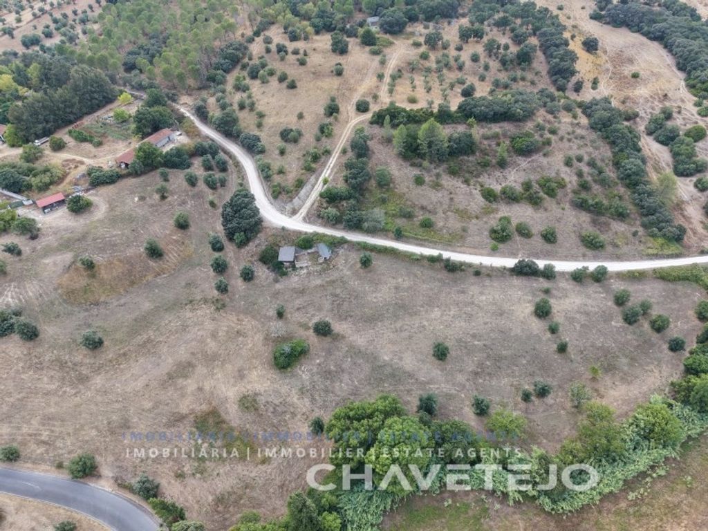 Maison de luxe à vendre à Torres Novas, 1 400 000 €, Photo 4