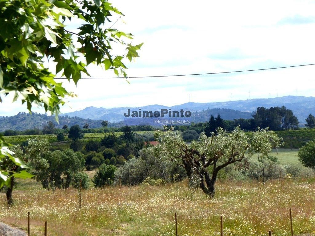 Maison de luxe à vendre à Belmonte, 770 000 €, Photo 3
