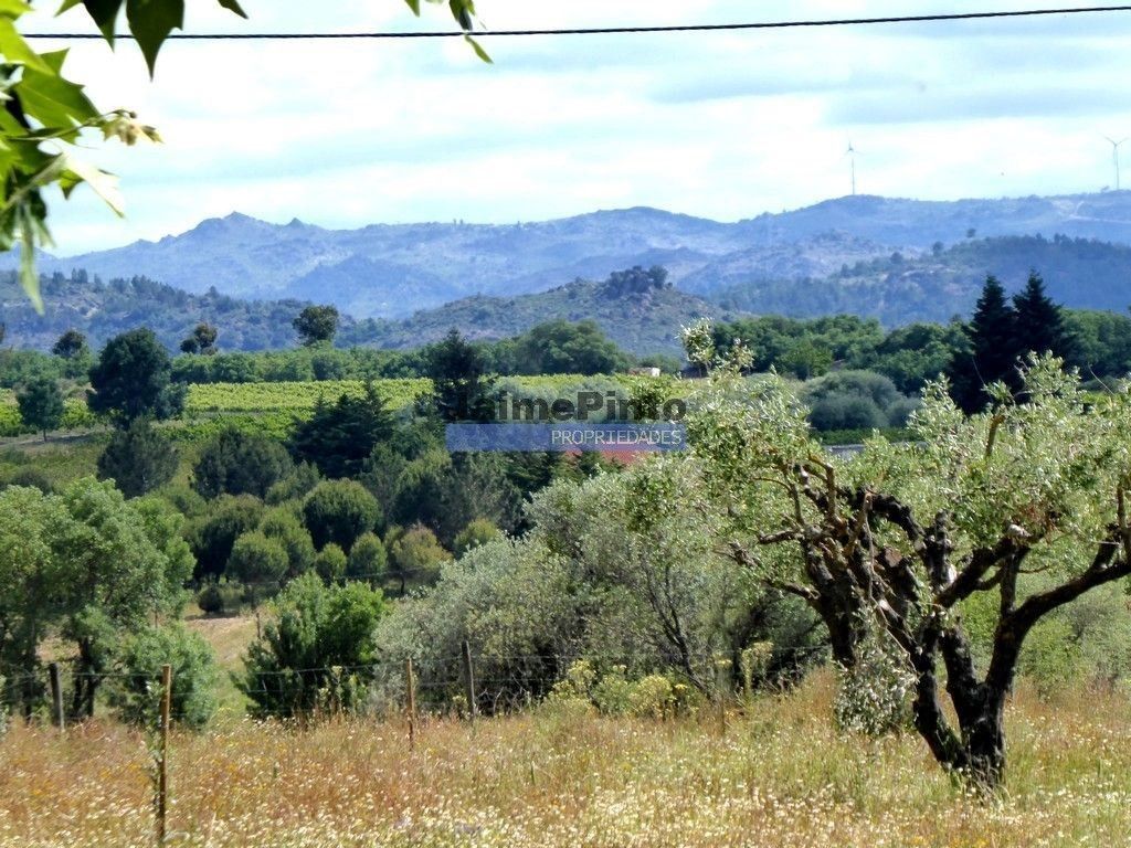 Maison de luxe à vendre à Belmonte, 770 000 €, Photo 5