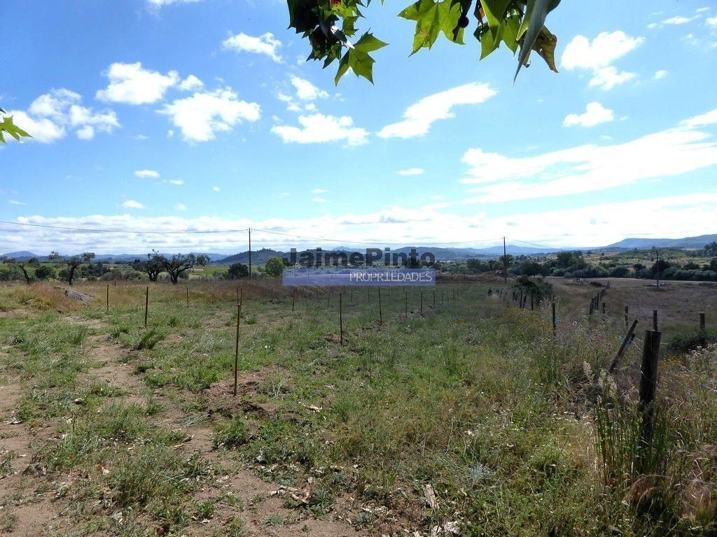 Maison de luxe à vendre à Belmonte, 770 000 €, Photo 6