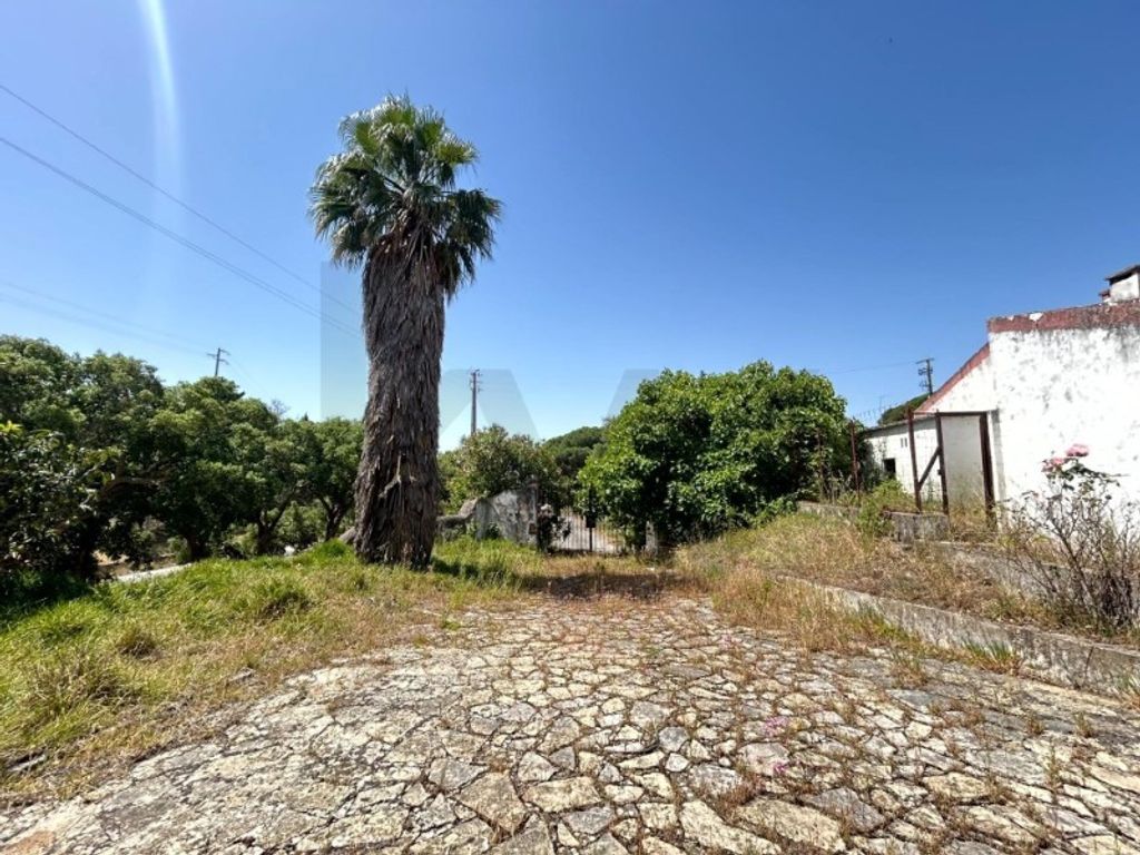 Maison de luxe à vendre à Azambuja, 628 000 €, Photo 2